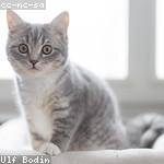 Fanny Ebert Profile Picture