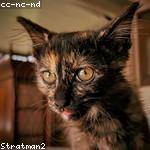 Glenna Gaylord Profile Picture