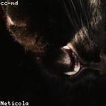 Krista Goldner Profile Picture